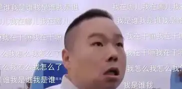 岳云鹏坐过山车吓出表情包,全身紧绷生无可恋太搞笑
