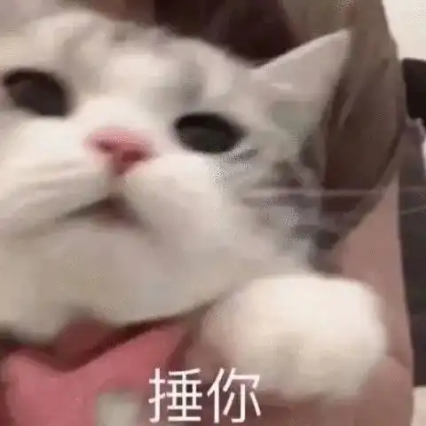 沙雕表情包21期今天周五
