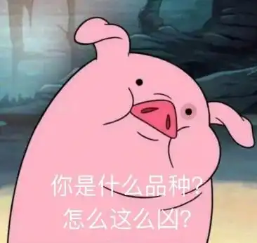 把你身边最像这只猪的朋友艾特出来
