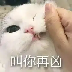 啥是佩奇刷屏,笑着笑着就哭了的故事告诉你啥是隔代亲
