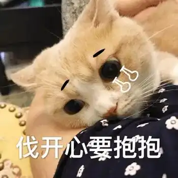 每日吸丨小兔几白了又了白
