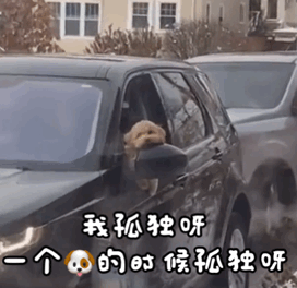 网恋和异地恋有什么区别情头
