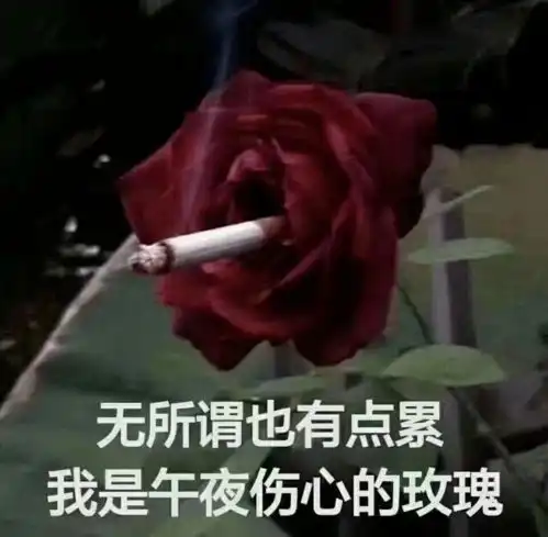 对象聊天可以多敷衍
