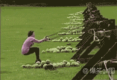 那些看起来很疼的动态图,张张经典
