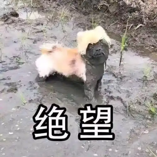 地铁上1米9的帅哥把我豆浆嘬了男生个子高是什么体验