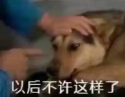 一波好笑的表情包
