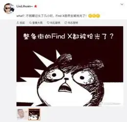 连王自如都赞叹的手机,那么oppofind确实是非常优秀
