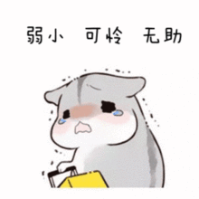 这可能是画室集训的学生最想拥有的......

