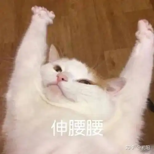 为什么网购新疆不包邮不包邮别傻了赶紧点进来包邮七天无理由退货福利来了
