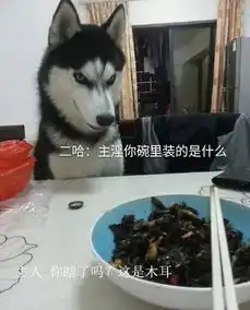 论不要脸我只服哈士奇......
