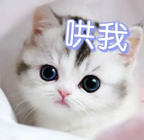 沙雕表情包l同样的话你对多少人说过
