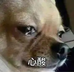 放牛讲彩蛋520特辑,今天也别忘记和冈布奥约会噢
