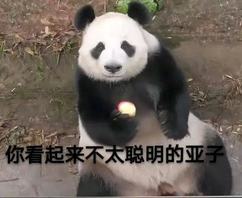 哔哩哔哩专栏
