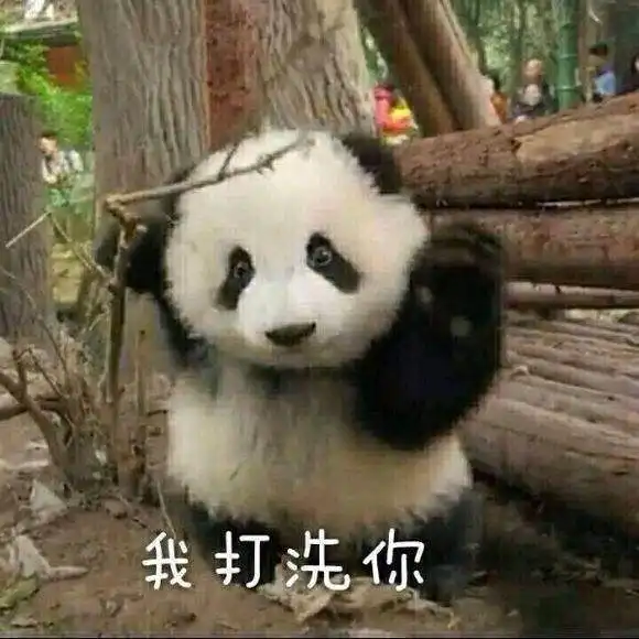 这样的表情包你有几个
