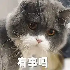 第127期聊天斗图必备表情包
