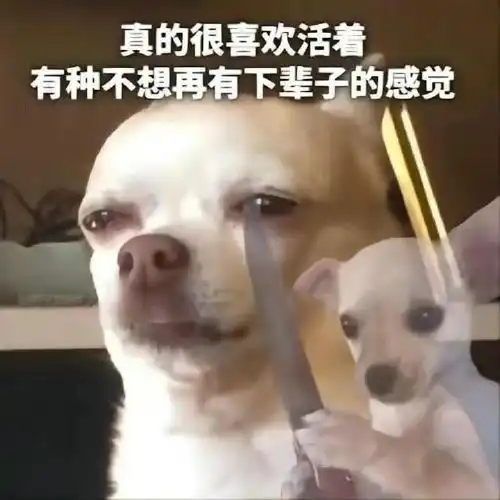 当代精神文明状态表情包

