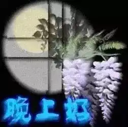 晚上好祝福语图片大全晚上好动态祝福图
