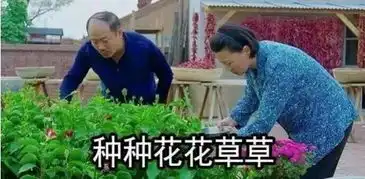 周末在家怎么过卧槽最后一个是我
