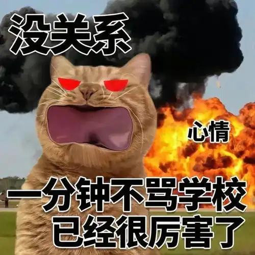 没关系,还在呼吸已经很厉害了丨表情包
