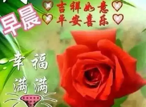 最新的微信聊天不用打字的表情包图片,早上好祝福图片
