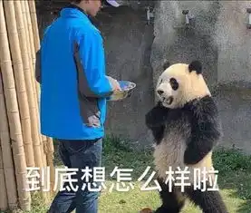 熊猫的表情包请注意你跟老子说话的态度
