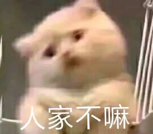 e句话看天下丨都这么多年了,张杰谢娜的粉丝还没成cp粉吗
