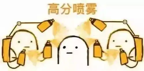 这里有一份清爽的备考方案
