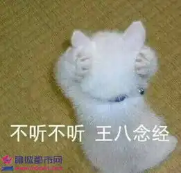 不听不听王八念经什么梗不听不听王八念经下一句
