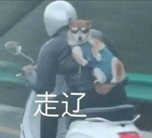 最新表情包图片表情达意,帮你说出你不便说的
