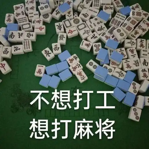 朋友们,你们花多久学会打麻将的
