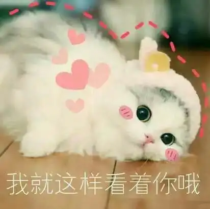有什么事或者话让你觉得是经历多了才会懂的
