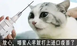 你的家,就是喵星人的江山
