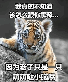 因为老子只是一只猫表情包我真的不知道该怎么跟你解释表情包下载无水印乐游网游戏下载
