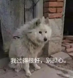 当代青年的反转鸡汤语录
