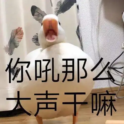 亚力士不可多得的相册一言不合就放图
