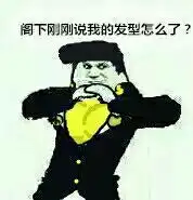 傻dio的jojo图三内含表情包
