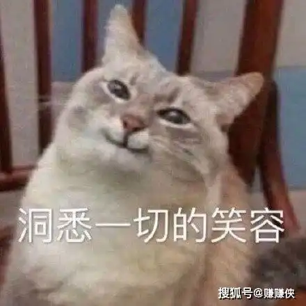 猫狗表情包图片你不是我对手
