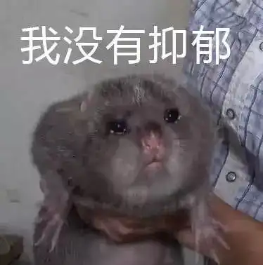 恕我直言,竹鼠就是用来吃的
