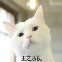 搞笑的猫咪高清表情包微信头像图片大全
