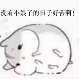 hamham小仓鼠小娘子和夫君君表情包堆糖,美好生活研究所
