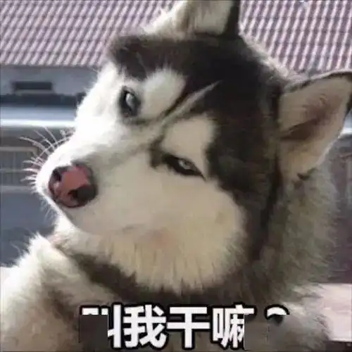 狗狗的6种性格里竟有放屁型,这是什么意思
