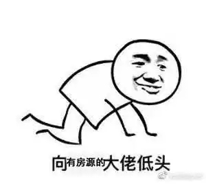 有什么特别有用的租房攻略或技巧
