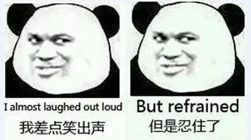 狗狗来大姨妈,主人自制了卫生用品,套上后自己都绷不住了
