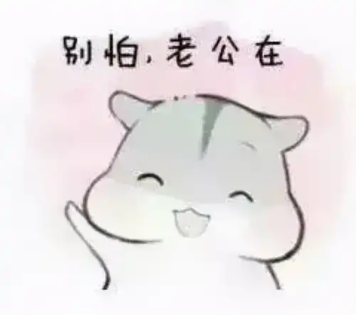 超超可爱的小仓鼠表情包,快去把你家男朋友喊过来看看
