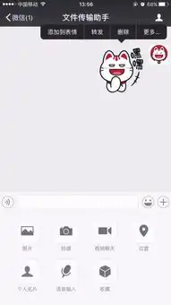 不想做网红的喵,不是好的表情包
