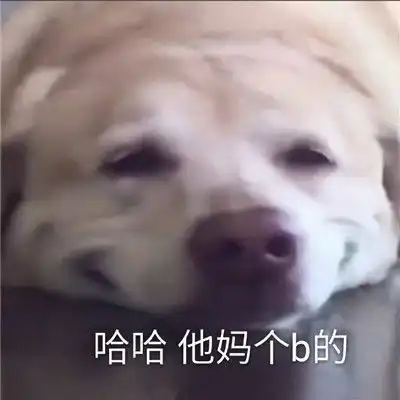 有趣微信聊天表情大全
