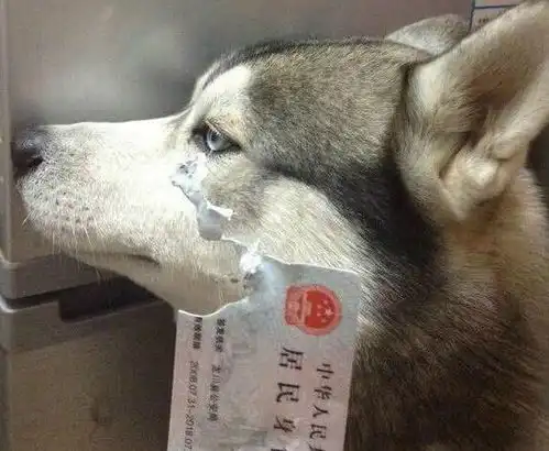 每日一笑说好的清蒸大闸蟹呢我怎么看到了一堆黑炭
