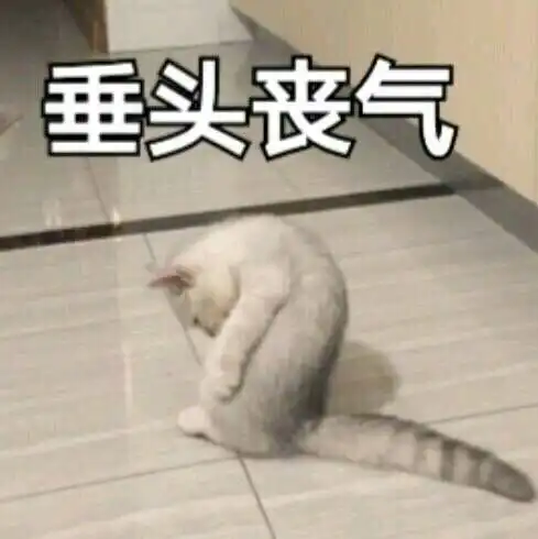 我的收藏
