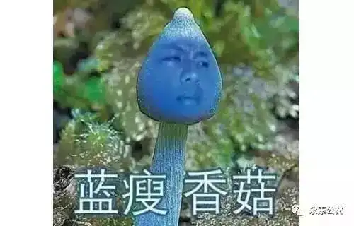 明明是个永康人却谎称自己是广西人,他究竟想要隐瞒什么
