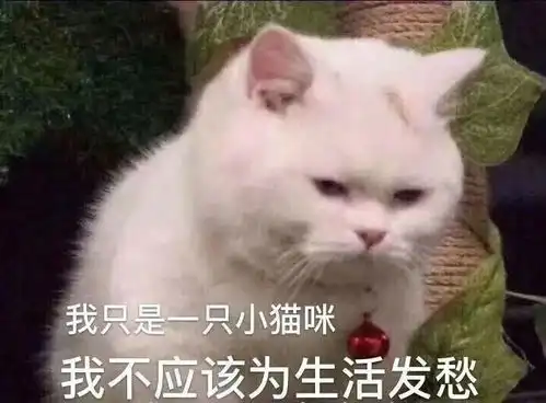 精致穷的青春太难了
